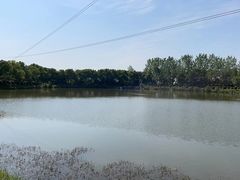 -武汉紫薇都市田园