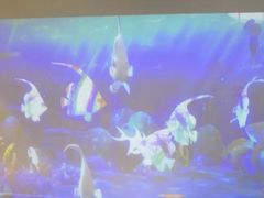 -KIDults童伴儿亲子餐厅(达美中心广场店)