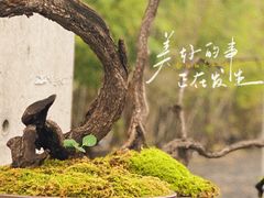 -苏州本色美术馆