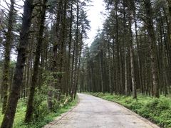 -石棉县孟获城