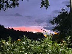 -九曲溪