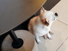 -Joymean coffee.见面咖啡