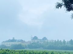 -北京张裕爱斐堡酒庄