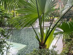 -海兰云天度假区温泉