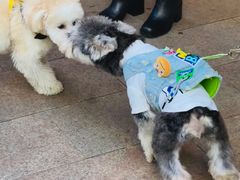 -佛山京华广场MALL