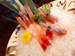 甜虾-桐寿司Sushi Tong
