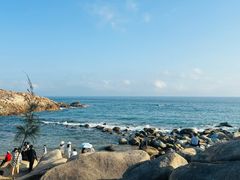 -广东惠东海龟国家级自然保护区