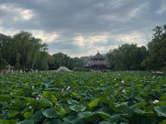 -莲池书院博物馆