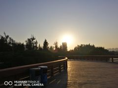 -宝安西湾红树林湿地公园