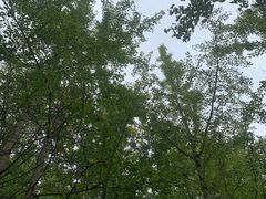 -桂林古东瀑布景区