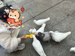 -小菜园新徽菜(合肥滨湖世纪金源店)