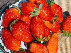 -普洱茶府(博乐广场店)