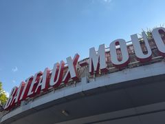 -Bateaux Mouches塞纳河游船
