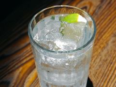 -SPEYSIDE 威士忌&鸡尾酒吧