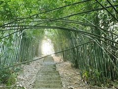 -潜山国家森林公园
