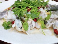 -凤厨顺德水乡凤味馆(大良锦龙路店)