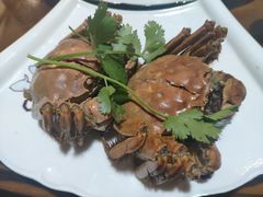 -呼吸森林·生态农庄农家乐私房菜