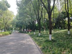 -成都南湖公园