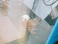 -沸腾鱼家(大尧三路店)