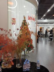 -艾美A·M Hair Salon