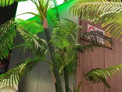 -椰庭·椰子鸡·创意玩家(晶耀前滩店)