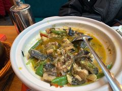 -饭怕鱼(阳光100店)