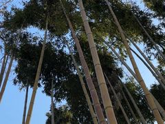 -南山风景名胜区