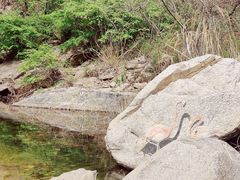 -黑龙潭风景区