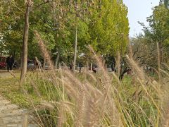 -回龙观体育文化公园