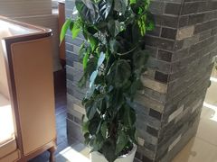 -郑庄脂渣海鲜楼(九水路店)