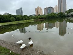 -黄兴公园