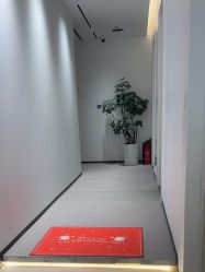-玛莲朵·海菲秀冰珀科