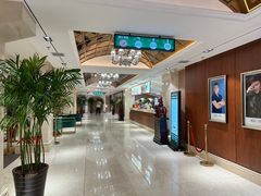 -龙江大舞台旗舰店