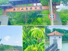 -东莞市大岭山森林公园