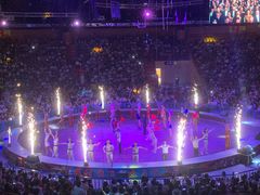 -俄罗斯国家大马戏团