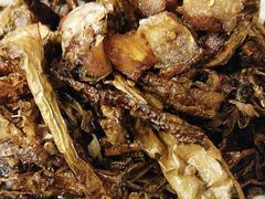 -金龙烧烤·牛肉面(西塔店)