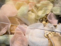 -黑家养生粥道馆(新世纪店)