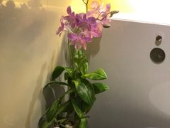 -曼谷素万那普国际机场