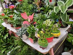 -成桂西餐厅·42年的味道(五大道疙瘩楼店)