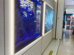 -上海第一八佰伴