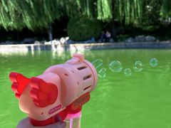 -团结湖公园