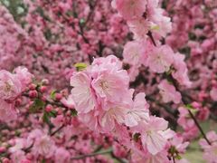 -太阳宫公园