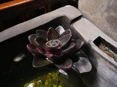 -三只耳火锅(宽窄巷子店)