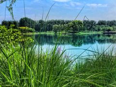 -东郊湿地公园