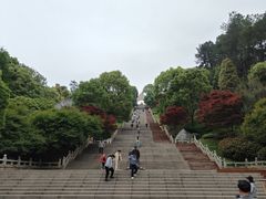 -庐山风景名胜区-东林大佛
