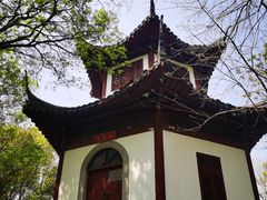 -上海佘山国家森林公园天马山园