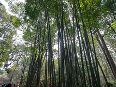 -成都杜甫草堂博物馆