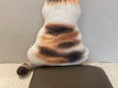 -飞行喵MR PILOT|猫舍·猫咖(静安大融城店)