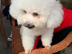 -兴福老面馆(寺路街店)