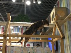 -小时光咖啡馆(开森度假森林店)